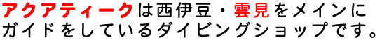 《アクアティーク》は西伊豆・雲見をメインにガイドをしているダイビングショップです。