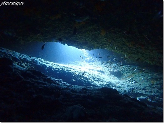 水路下の洞窟